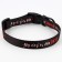 Collar My Dog is the Best, fastener - Fastex, 2 cm 25-40 cm