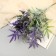 Bouquet "Fern Forest" 33 cm, mix