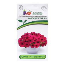 Flowers of Petunia 