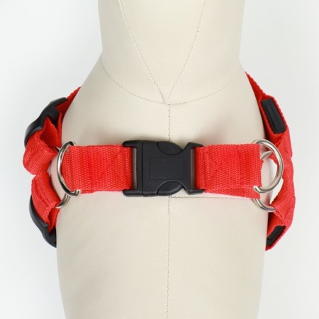 Shleika luminous size m, sling 2.5 cm, og 38-50 cm, 3 glow modes red-4