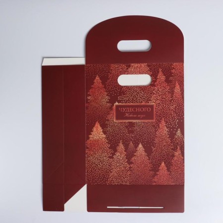 A package with a valve "Wonderful New Year", 26 x32 x12 cm, New Year-4