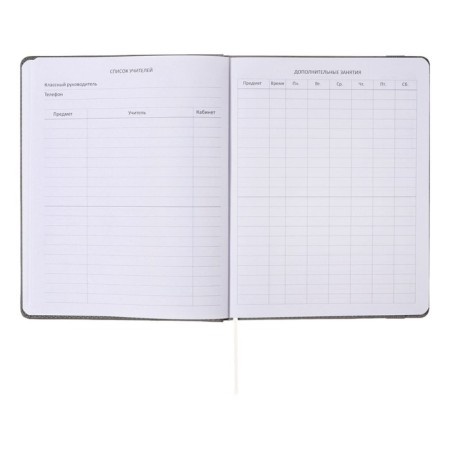Universal diary for grades 1-11, hard cover, artificial leather, elastic band, lies, tinted block, 48 sheets-13