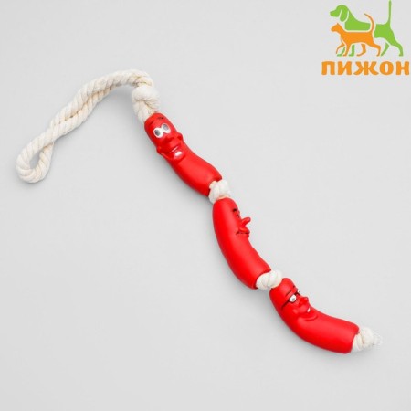 Rubber toy "3 sausages" on a rope, 50 cm, mix