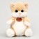 Soft toy "Cat Cexic"