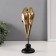 Souvenir Polystone "Golden Parts Ara on a Zhurdochka" 27.5x8.5x8.5 cm