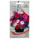 Petunia Flowers "Balcony", 210 pcs