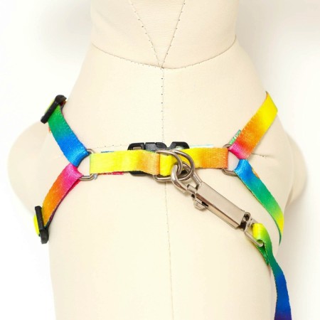 Set "Rainbow", Kapron, leash 120 x 1 cm, fire 24-34 cm, multi-colored-3