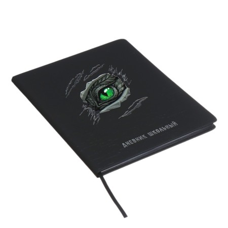 School diary for grades 1-11, dragon's eye, hard cover, artificial leather, application, pancake embossing, foil embossing, universal cheat sheet, 48 sheets, block 80g/m2-2