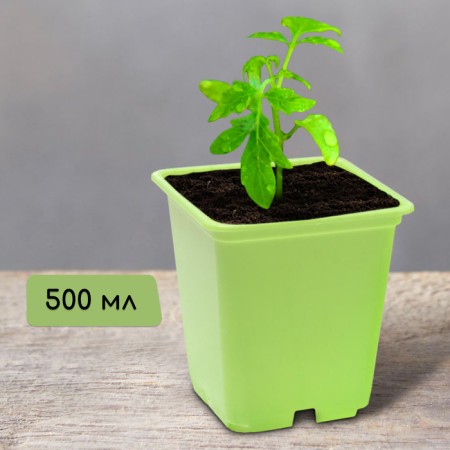 Pot for seedlings, 500 ml, d = 9 cm, h = 9.5 cm, light green