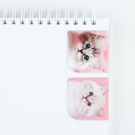 Set of notebook A6, 32 sheets, stickers, magnetic bookmarks "Cute kitten"-1