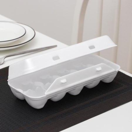 A disposable container for eggs, 10 seats, 24.6 × 22.9 × 3.95 cm, white color-4