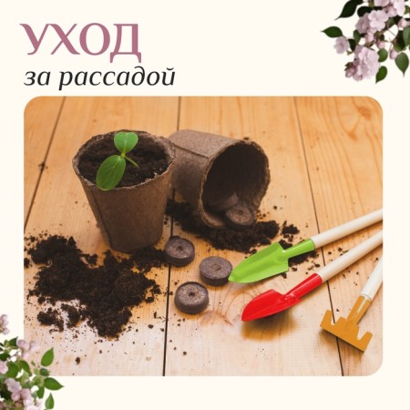 A set of garden tools, 3 objects: looser, scoop, rake, length 20 cm, Greengo-4