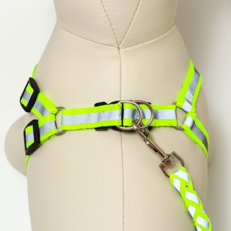 Set "braid", fluorescent, harness 32-48 cm, leash 115 x 1 cm, green-4