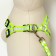 Set "braid", fluorescent, harness 32-48 cm, leash 115 x 1 cm, green