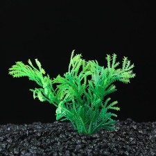 The plant is artificial aquarium, up to 9 cm