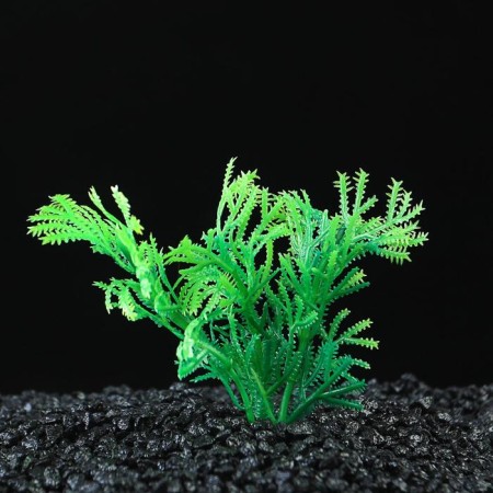 The plant is artificial aquarium, up to 9 cm
