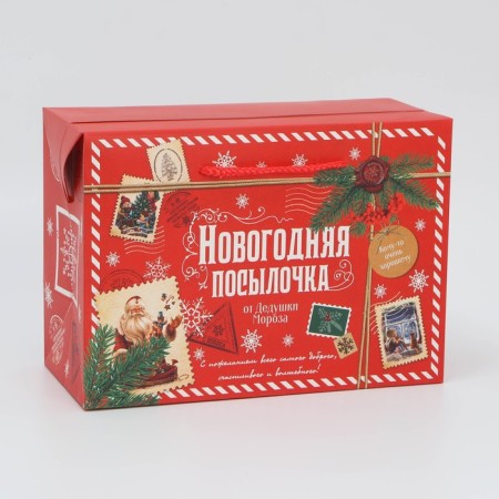 Package - Parse, 28 x 20 x 13 cm, New Year-2