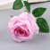Artificial flowers "tea extract" d-7 cm 44 cm, pink