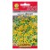 Seeds of St. John's wort "Aibolit", 0.1 g