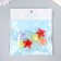 Busina Plastic for the creativity "Star. Colorful ice" multi -colored 1.3x2.6x2.6 cm