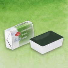 A watercolor art in a cuvette 2.5 ml, ZHK 