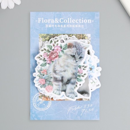Stickers for creativity "Cats in colors" 8x8 cm set 45 pcs 0.5x14.5x9.4 cm-4