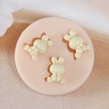 Mold Silicone 