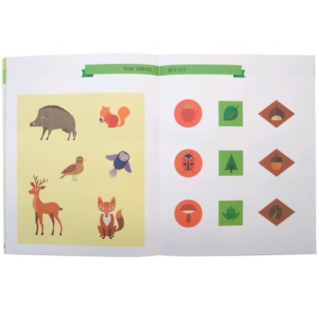 Montescorori method. Development through the game. In the forest. Activities with stickers, Piroddy K.-4