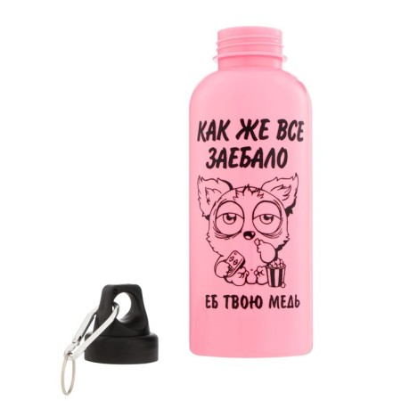 Water bottle, 700 ml, "How all.."-1