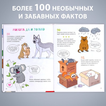 Encyclopedia in solid binding "Funny facts about animals", 48 p.-2