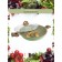 Steak of Wok Panairo Oliverstone Max, removable handles Soft-Touch, with a lid, d = 28 cm