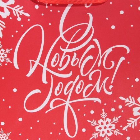 Package Laminated Square "Round dance of Snowflakes", 22 x 22 x 11 cm, New Year-4