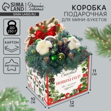 Box for mini-boots 