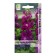 Flowers of Mattiol Flower aromatic aromatic, 0.05gr