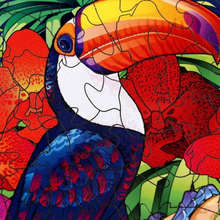 Puzzle "Colorful in the frame" "Tukan"-3