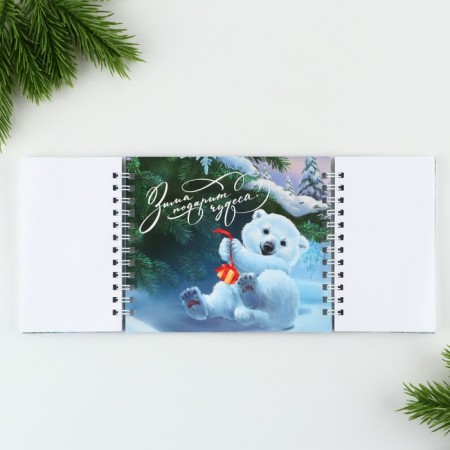 New Year. Double notebook on the crests of "Dreams come true"-2