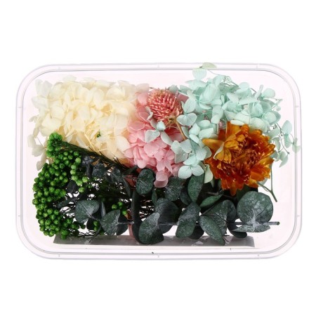 Set for creativity "Set of dried flowers" is large, pink + yellow + blue + green-1
