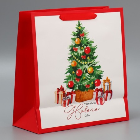 Package Gift New Year Laminated Square Happiness, 30 x 30 x 12 cm, new year-3