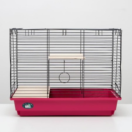 Cage for chinchillas "Pigzon" No. 8 with 2 wooden floors, collapsible, 58x40x48 cm, raspberry-3