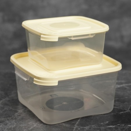 A set of food containers "Cascade", 2 pcs: 460 ml, 1 l, color mix-9