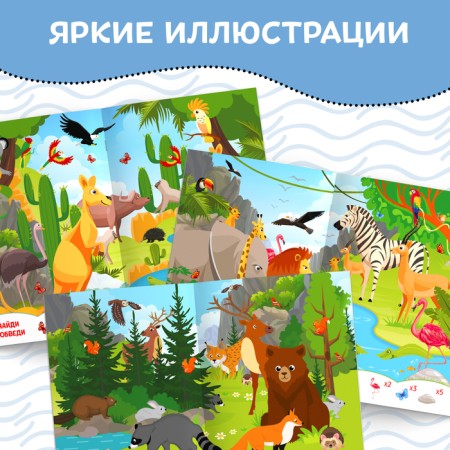 A book with the marker “Write-West. Find and show ”, 12 p.-3