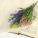 Bouquet "Weed with balls" 27 cm, mix