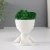 Kashpo concrete mini "Mr. Green on Chile" with moss white 6.5x6x6.5 cm (moss green stabilis)