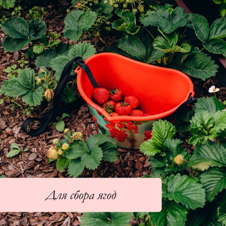 Berry collection capacity, 3 l, “red currants”, red-4