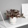 Bonsai in the pot "Filodendron ultra premium" (soft sheet) 15x7 cm, mix
