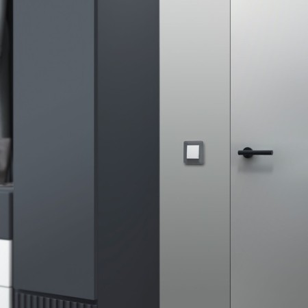 Frame W0012440, 1 ELITE socket, graphite, glass-4