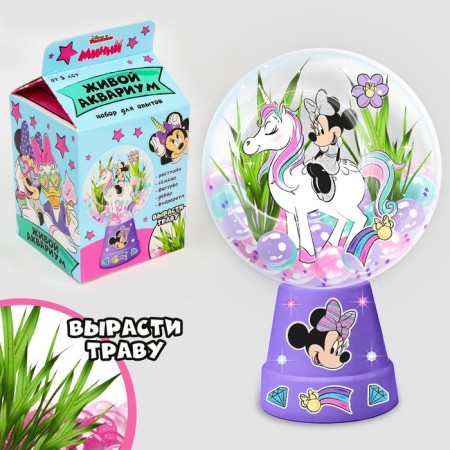 Set for experiments "Wonderful Florarium", Minnie Mouse