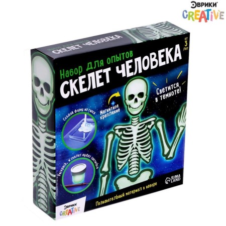 Set for experiments "Human Skeleton"-8