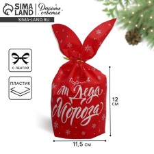 Gift bag with ears 