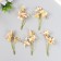 Flowers for decorating "Lilenik" vanilla 8.5 cm